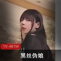 黑丝伪娘 [1V-481M]